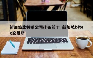 新加坡比特币公司排名前十_新加坡bitex交易所