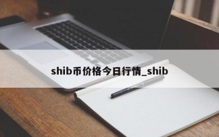 shib币价格今日行情_shib