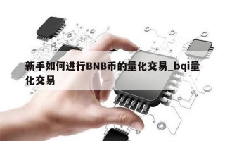 新手如何进行BNB币的量化交易_bqi量化交易