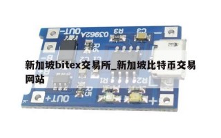 新加坡bitex交易所_新加坡比特币交易网站