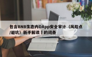 包含BNB生态内DApp安全审计（风险点/避坑）新手解读​的词条