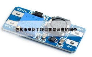 包含币安新手项目背景调查的词条