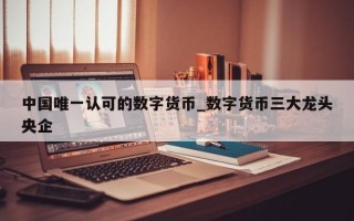中国唯一认可的数字货币_数字货币三大龙头央企