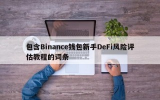 包含Binance钱包新手DeFi风险评估教程的词条