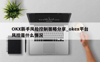 OKX新手风险控制策略分享_okex平台风控是什么情况