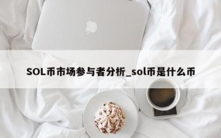SOL币市场参与者分析_sol币是什么币