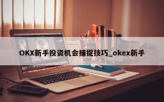OKX新手投资机会捕捉技巧_okex新手