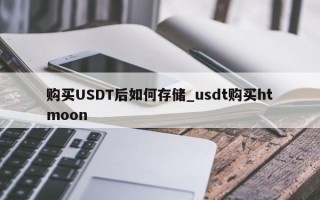 购买USDT后如何存储_usdt购买htmoon