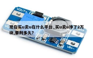 现在买u卖u在什么平台_买u卖u挣了2万块,要判多久?