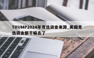 TRUMP2024年竞选资金来源_美国竞选资金都干嘛去了