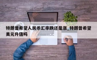 特朗普希望人民币汇率跌还是涨_特朗普希望美元升值吗