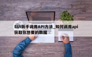 SUI新手调用API方法_如何调用api获取你想要的数据