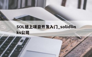 SOL链上项目开发入门_solidlinks公司