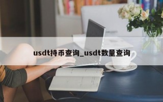 usdt持币查询_usdt数量查询