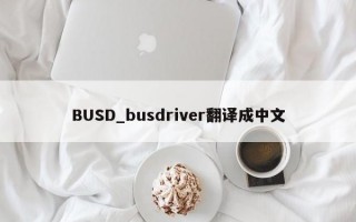 BUSD_busdriver翻译成中文