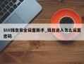 SUI钱包安全设置新手_钱包进入怎么设置密码