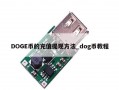 DOGE币的充值提现方法_dog币教程
