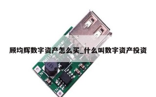 顾均辉数字资产怎么买_什么叫数字资产投资