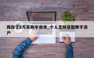 我投了2万买数字货币_个人怎样获取数字资产