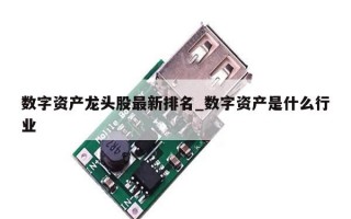 数字资产龙头股最新排名_数字资产是什么行业