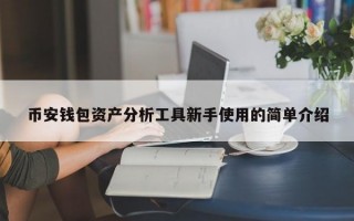 币安钱包资产分析工具新手使用的简单介绍