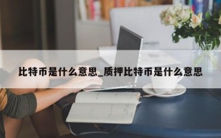比特币是什么意思_质押比特币是什么意思