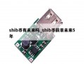 shib币有未来吗_shib币前景未来5年