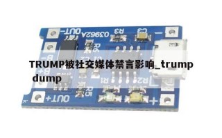 TRUMP被社交媒体禁言影响_trump dump