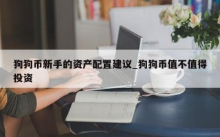 狗狗币新手的资产配置建议_狗狗币值不值得投资