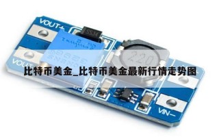 比特币美金_比特币美金最新行情走势图