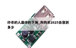 炒币的人最终的下场_狗狗币2025会涨到多少