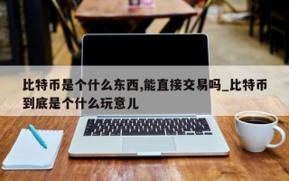 比特币是个什么东西,能直接交易吗_比特币到底是个什么玩意儿