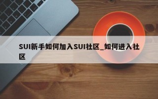 SUI新手如何加入SUI社区_如何进入社区