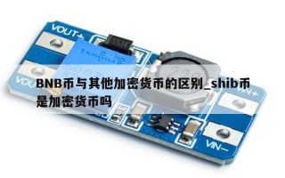 BNB币与其他加密货币的区别_shib币是加密货币吗