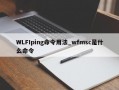 WLFIping命令用法_wfmsc是什么命令