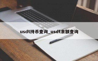 usdt持币查询_usdt余额查询