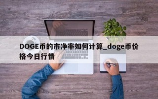 DOGE币的市净率如何计算_doge币价格今日行情