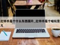 比特币是个什么东西图片_比特币是个啥玩意儿