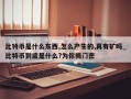 比特币是什么东西,怎么产生的,真有矿吗_比特币到底是什么?为你揭门密