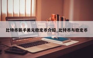 比特币新手美元稳定币介绍_比特币与稳定币
