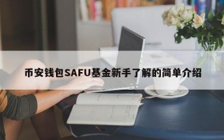 币安钱包SAFU基金新手了解的简单介绍