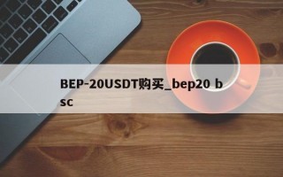 BEP-20USDT购买_bep20 bsc