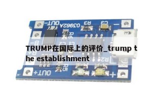 TRUMP在国际上的评价_trump the establishment