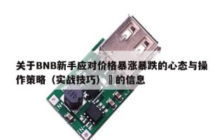 关于BNB新手应对价格暴涨暴跌的心态与操作策略（实战技巧）​的信息