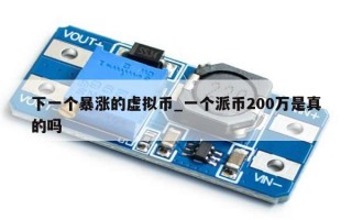 下一个暴涨的虚拟币_一个派币200万是真的吗