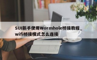 SUI新手使用Wormhole桥接教程_wifi桥接模式怎么连接