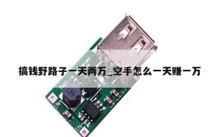 搞钱野路子一天两万_空手怎么一天赚一万