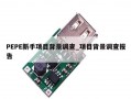 PEPE新手项目背景调查_项目背景调查报告