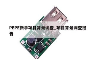 PEPE新手项目背景调查_项目背景调查报告