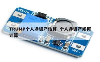 TRUMP个人净资产估算_个人净资产如何计算